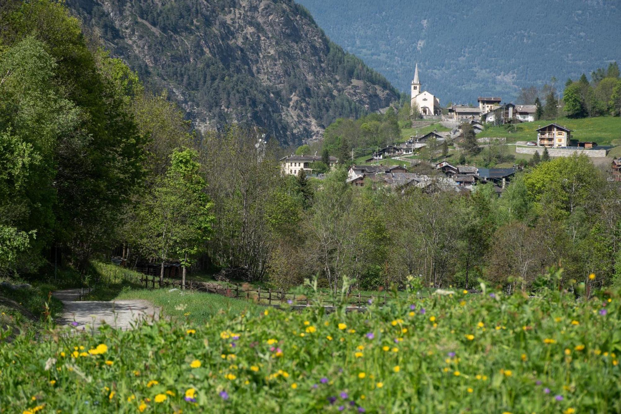Case Gran Paradiso Rhemes Saint Georges Exterior photo